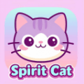 灵猫网络